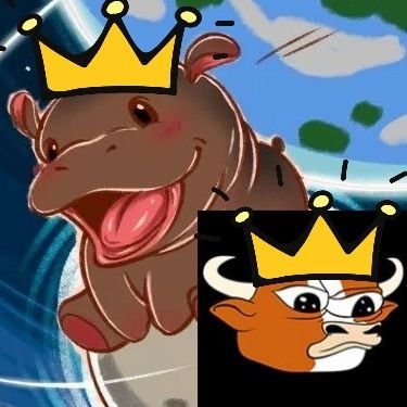 Flyy_crypto's profile picture. bet on $BTC $MUMU #MOODENG