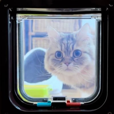 suzuran_2300's profile picture. いろんな事に興味があります。 使い方はまったく🤷解らないけどおばちゃんが頑張ってＸを使ってみます 。