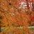 asako10848287