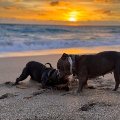 lillinasist's profile picture. 