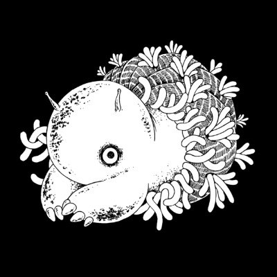 なよなた🐌さんのプロフィール画像