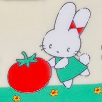 きなこ豆うさぎ (@kurotorakina5) 's Twitter Profile