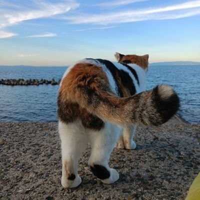 生まれつき👶川崎病罹患/双極性障害などの病気・複数の難病
・不調⇒
通院 服薬やめました
本気の体質改善⇒今秋で4年目🌱
マクロビオティック 自然療法 NLP 心理学の実践 東洋医学を独学中🐣/多剤処方・病人・障がい者・病気の全てから卒業🕊️🕊️🕊️病気治しは生き方なおしと自己回帰の道