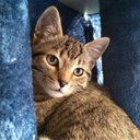 Marco Baumann - @MarcoBauma97102 - Twitter