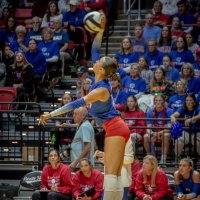 Addison Haberthy (@addiehabsvb26) 's Twitter Profile Photo Addison Haberthy (@addiehabsvb26) 's Twitter Profile Photo