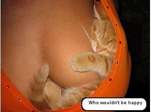 Sexychick69xoxo's profile picture. I apologize to my followers! My acc was hacked! :( 
Don't click on any of the links from previous tweets! from now on it's safe to click on the links i tweet.