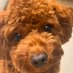 はく (@iurw7ff7im71401) Twitter profile photo はく (@iurw7ff7im71401) Twitter profile photo