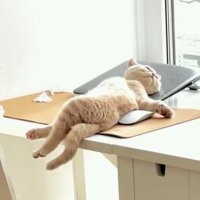 B_Mia ๐ฆ๐ป๐ฌ๐ง๐ช๐บ๐บ๐ธ๐ช๐ธ๐๐๐ท (@miauk7) 's Twitter Profile