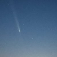 gilbert morrow (@trilobites) 's Twitter Profile Photo