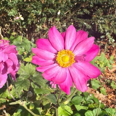 _immortalnow's profile picture. 