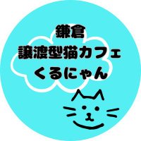 譲渡型猫カフェくるにゃん鎌倉店(元にゃんくる鎌倉店) (@kurunyan_cat) 's Twitter Profile Photo 譲渡型猫カフェくるにゃん鎌倉店(元にゃんくる鎌倉店) (@kurunyan_cat) 's Twitter Profile Photo