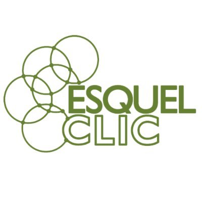 CLIC promueve el desarrollo de actividades de formación como videoconferencias, cursos virtuales, talleres presenciales para OSC