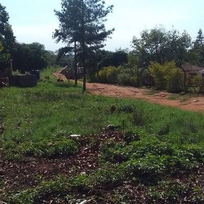 BaloyiPhin42417's profile picture. DJ tsakani