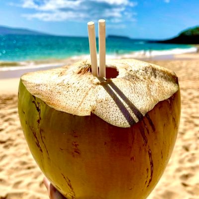 DOGE_Master157's profile picture. 