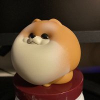 翔太【元ポメ】 (@destro8326) Twitter profile photo