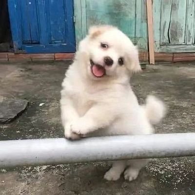 PengyuHe155399's profile picture. 