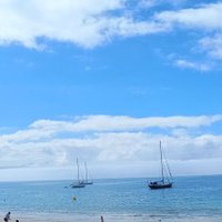 Tiroldo Kleiman (@tiroldokleiman) 's Twitter Profile Photo