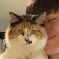 always…somtimes (@alwayssomtimes) 's Twitter Profile