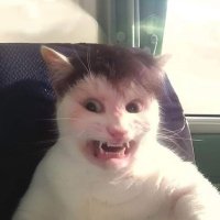 TRACEZERA (@tracezera) 's Twitter Profile