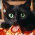 $NACHO pizza_pizza_nacho (@aeuroparts) Twitter profile photo $NACHO pizza_pizza_nacho (@aeuroparts) Twitter profile photo