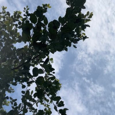 MKeB24_2's profile picture. إذا كُنتَ من ضمن قائمة المحبين فاعلم اني ذكرتُكَ في شعري الحادي وعشرين21✨🫶🏻