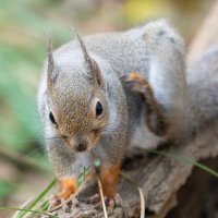 ゆう | 📷 25A! (@yufoto2024) Twitter profile photo