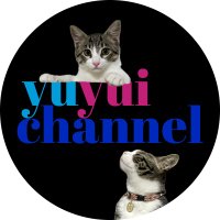 yuyui channel (@yuyuichannel) 's Twitter Profile Photo yuyui channel (@yuyuichannel) 's Twitter Profile Photo