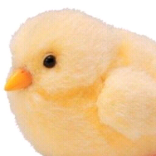 tuyopon1965's profile picture. 移民反対‼️保守派は⁉️日本人、兵庫県民、自主憲法制定/改憲、愛国心/外交/経済/靖國神社尊崇会会員/宗教/保守/リツイート多いですが(；´Д`A