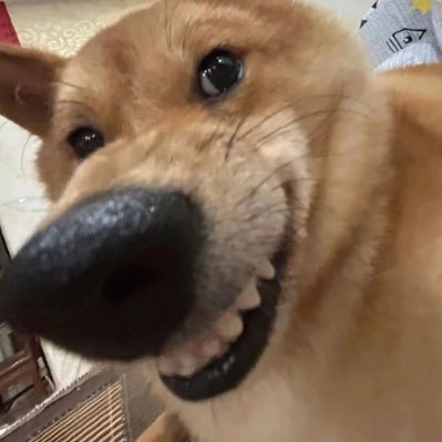 wc7kcmk5p6's profile picture. 