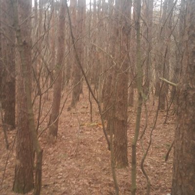 RKruszyk's profile picture. #książki, #KULT, #psiarz