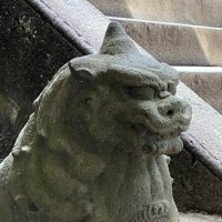 いるかのひと (@irukanoirukaman) 's Twitter Profile Photo