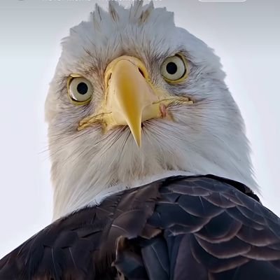 Nostromo_01_'s profile picture. 
