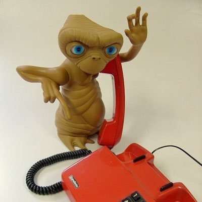 WokeF17715's profile picture. 