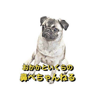 愛犬のおかか(パグ ♀)とその妹のいくら(パグ×フレブル ♀)の日常を配信!更新は週に2〜3回を目標としています。
パグ好き、鼻ぺちゃ好きさんはぜひお楽しみください🐶🐖