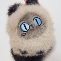 XUEZI (@xxxuezi) Twitter profile photo