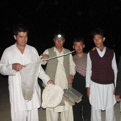 Hello I am a zoological researcher, I am interested in being a good supporter of the animals of Afghanistan. Most of my attention is to support the wildlife of