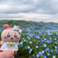 む。 (@__fkmt_11) 's Twitter Profile