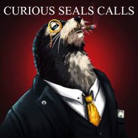 curious seals official page (@officialsealers) 's Twitter Profile Photo curious seals official page (@officialsealers) 's Twitter Profile Photo