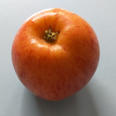 altenoweb's profile picture. 