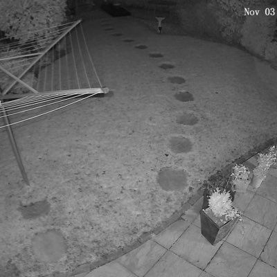 carl_doolan's profile picture. I say the word obviously a lot. Obviously