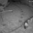 carl_doolan's profile image