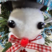 Teara!! (@winkletoodles) 's Twitter Profile