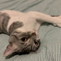 Andara (@andara898) 's Twitter Profile