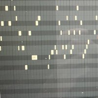 ふぁ (@ppp283949126178) 's Twitter Profile Photo