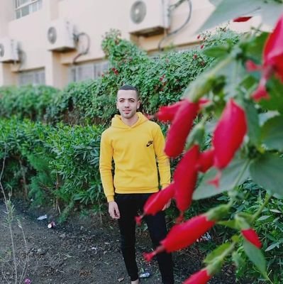 rmnsn499856's profile picture. 