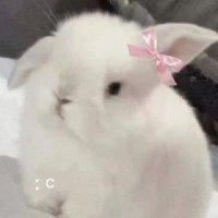 困困ou (@vvvdidi) 's Twitter Profile