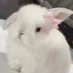 困困ou (@vvvdidi) Twitter profile photo 困困ou (@vvvdidi) Twitter profile photo