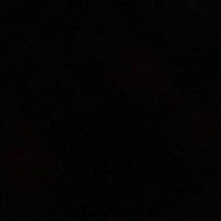 Lori Levin (@lorilevin) 's Twitter Profile