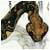 Love animals especially cats, music, arts, spirituality, liberal politics.