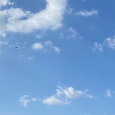 6156_roigoro's profile picture. 